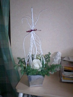 081209_2140~0001.jpg