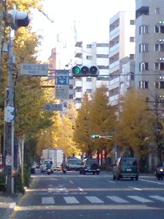 081212_1254~0001.jpg