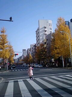 081212_1252~0002.jpg