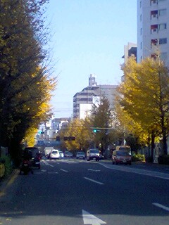 081212_1246~0001.jpg