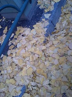 081212_1248~0001.jpg
