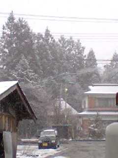 081214_1018~0001.jpg