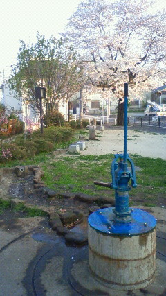 200904061715000.jpg