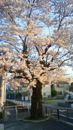 200904061718000.jpg