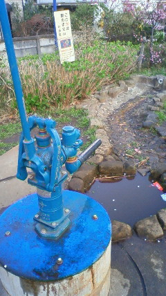 200904061716000.jpg