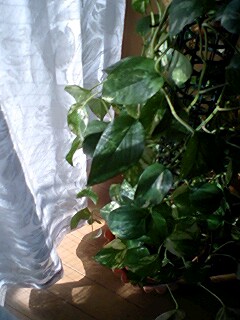 090305_0905~0001.jpg